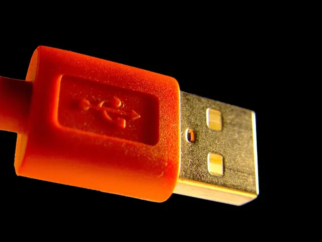 Usb plug, usb, cable, computer